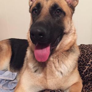 Meet your Posher, Austin